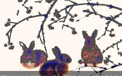 属兔的人办公桌摆什么吉祥物(属兔的办公室放什么风水好)