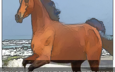 属马的几月出世最好？这三个月份出世属马男美好无忧