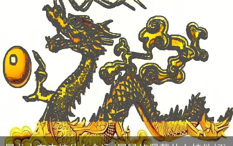 属龙人车内挂什么合适(属鼠的佩戴什么挂件好)