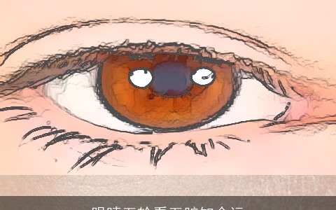 眼睛五轮看五脏知命运