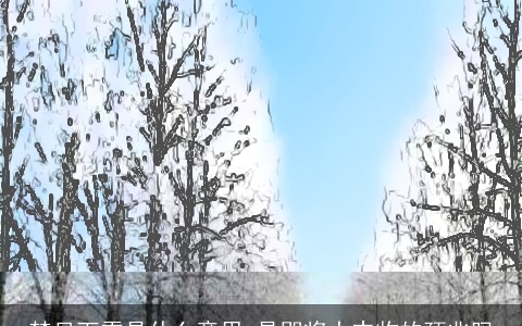 梦见下雪是什么意思 是即将大丰收的预兆吗