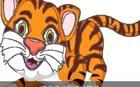 终身不愁吃穿的属相