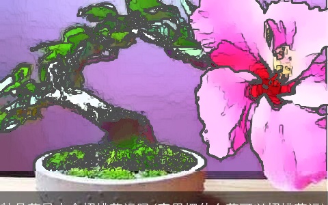 牡丹花风水会招桃花运吗(家里摆什么花可以招桃花运)