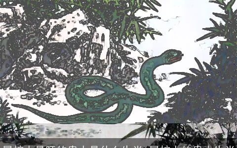 属蛇人最旺的贵人是什么生肖 属蛇人的贵人生肖