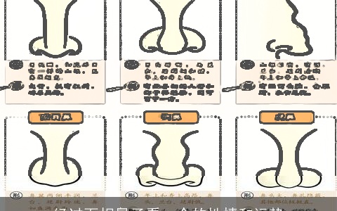 经过面相鼻子看一个的性情和运势