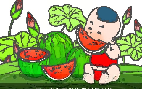 十二生肖谁在炎炎夏日最耐热