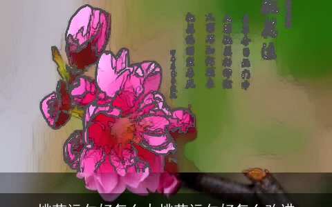 桃花运欠好怎么办桃花运欠好怎么改进