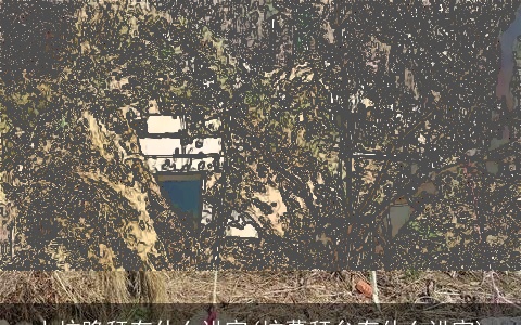 上坟跪拜有什么讲究(坟墓拜台有什么讲究)