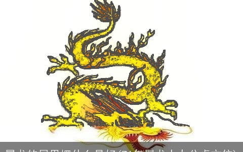 属龙的屋里摆什么最好(76年属龙人办公桌方位)