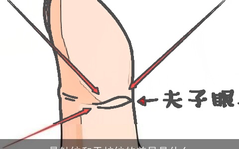 悬针纹和天柱纹的差异是什么
