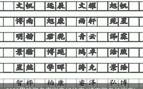 2023男孩取名字寓意好的字(坤字取名的寓意)