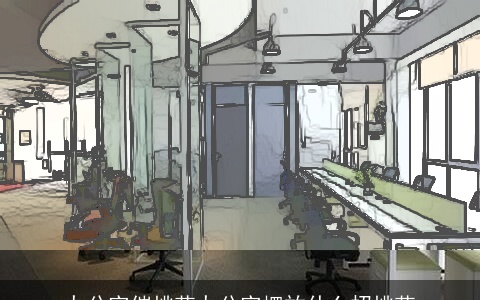 办公室催桃花办公室摆放什么招桃花