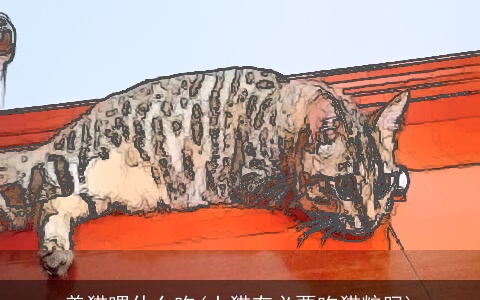 养猫喂什么吃(土猫有必要吃猫粮吗)