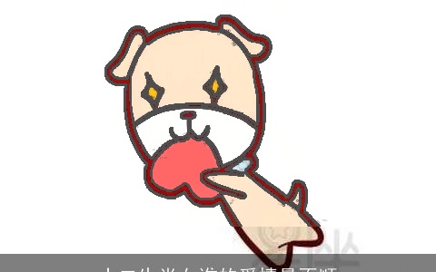 十二生肖女谁的爱情最不顺