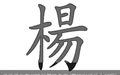 杨姓顺口有好听的男孩名字(男孩叫杨什么好听)