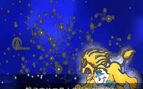 狮子座的口是心非体现在哪里？