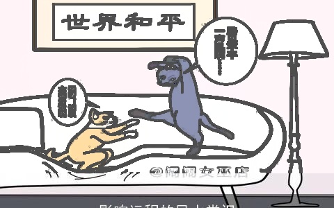 影响运程的风水常识