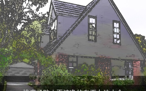 挑房子防止不洁净的东西办法大全