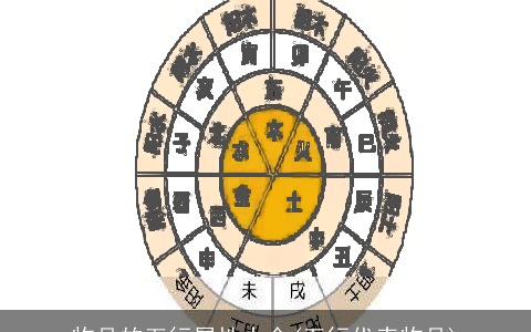 物品的五行属性大全(五行代表物品)