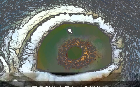 三角眼的人怎么样会很凶吗