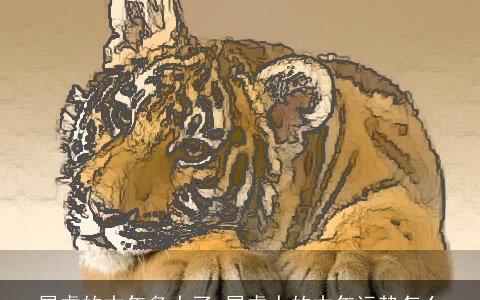 属虎的本年多大了 属虎人的本年运势怎么