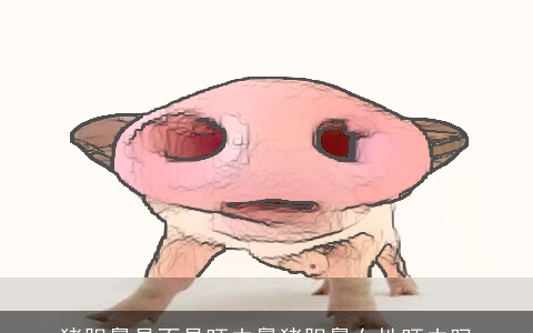 猪胆鼻是不是旺夫鼻猪胆鼻女性旺夫吗