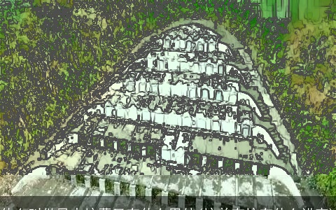 什么叫做风水坟墓又有什么用处(坟前有坟有什么讲究)