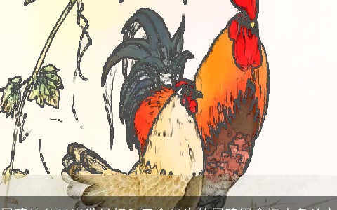 属鸡的几月出世最好？三个月生的属鸡男命运吉多凶少