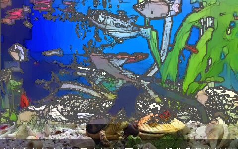 办公室养什么鱼好风水好(公司金鱼一般养几条比较好)