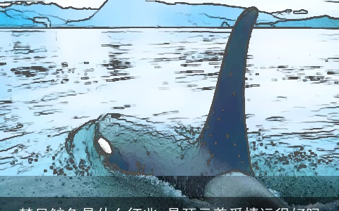 梦见鲸鱼是什么征兆 是预示着爱情运很好吗