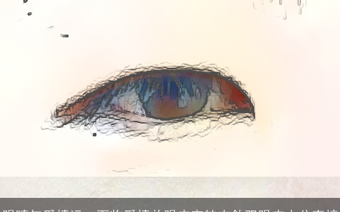 眼睛与爱情运：面临爱情单眼皮宛转内敛双眼皮十分直接