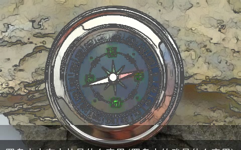 罗盘中大有大壮是什么意思(罗盘中的武是什么意思)