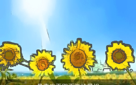 最喜欢不即不离的属相