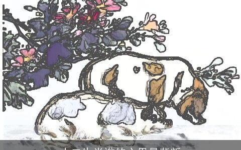 十二生肖谁的心里最背叛