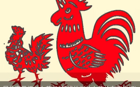 属羊家里摆什么花好(属鸡的买什么花放在家里好)