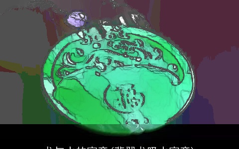 龙与水的寓意(翡翠龙吸水寓意)