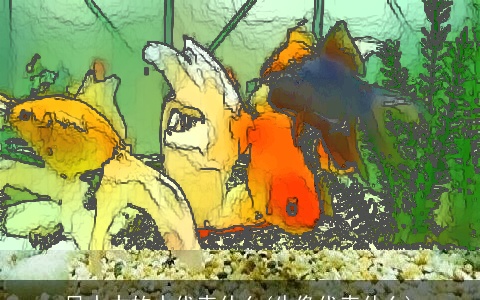 风水中的水代表什么(牛像代表什么)