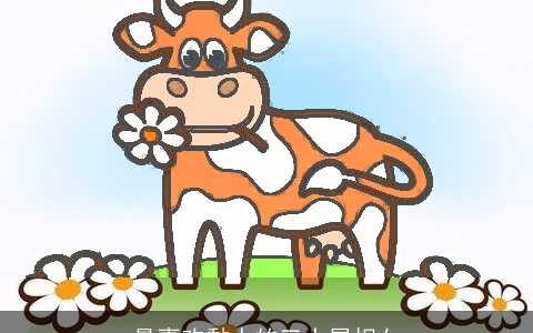 最喜欢黏人的三大属相女