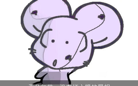 天分仁慈，没有坏心眼的属相