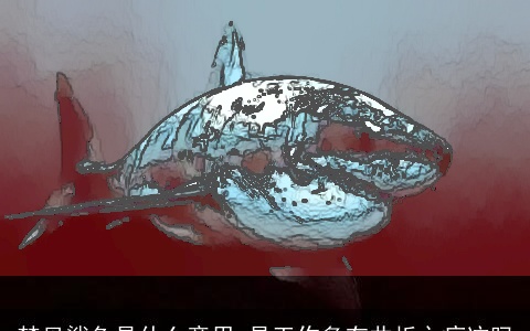 梦见鲨鱼是什么意思 是工作多有曲折之痕迹吗