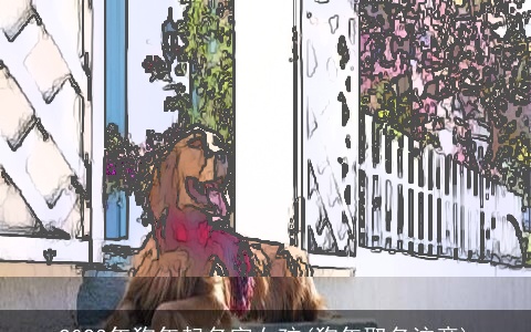 2023年狗年起名字女孩(狗年取名注意)