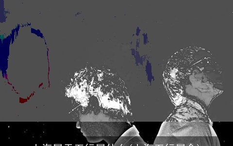 上海属于五行属什么(上海五行属金)