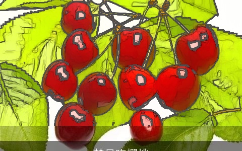 梦见吃樱桃