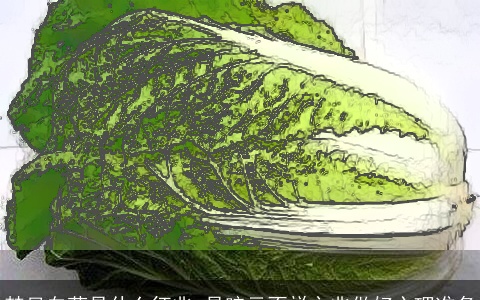 梦见白菜是什么征兆 是暗示不祥之兆做好心理准备