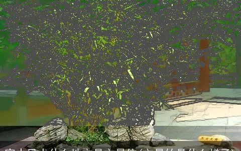 家中风水什么地方是文昌位(文昌竹是什么样子)