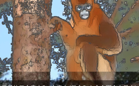 猴子的三合贵人和6合贵人(三合和六个合哪个力量大)