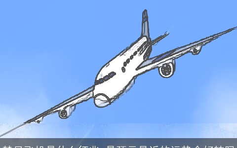 梦见飞机是什么征兆 是预示最近的运势会好转吗