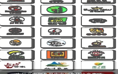 生辰八字取名男宝宝取名的注意事项