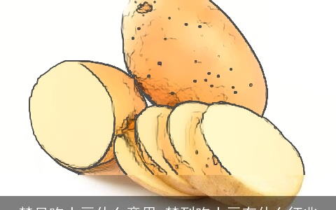 梦见吃土豆什么意思 梦到吃土豆有什么征兆