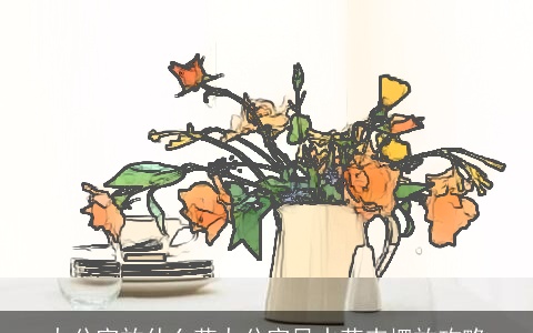 办公室放什么花办公室风水花卉摆放攻略